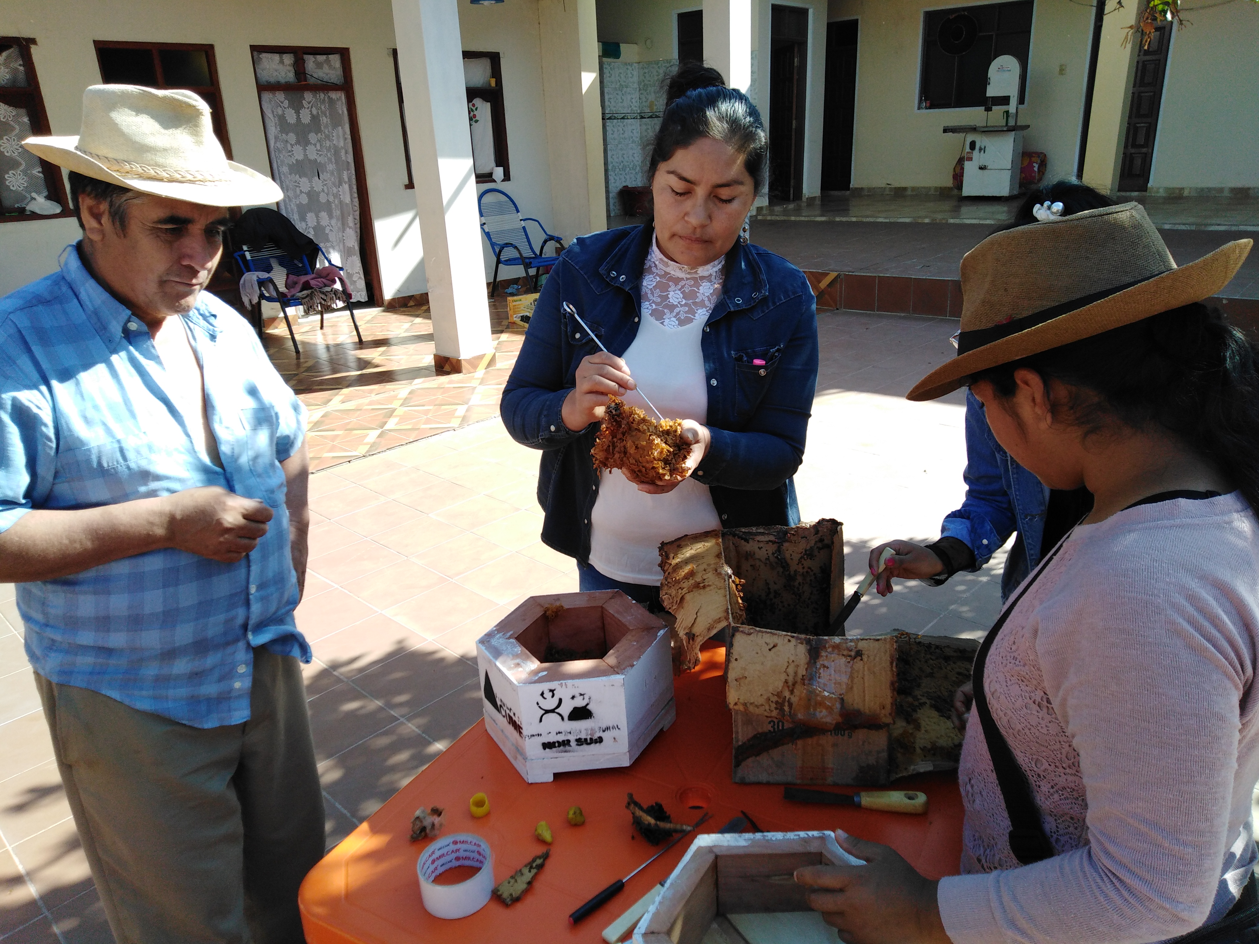 Capacitación en trasiego de colmenas de meliponas en Huacareta