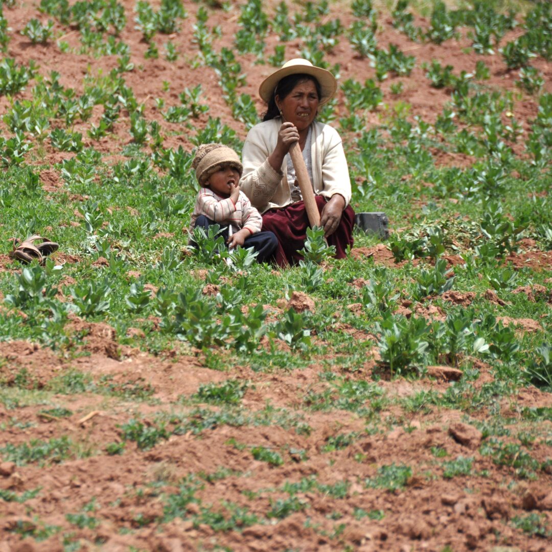 Madre e hijo en un descanso, en su terreno con cultivo de ha